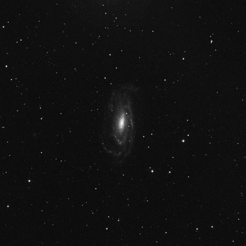 NGC 5033 - Spiral Galaxy in Canes Venatici | TheSkyLive