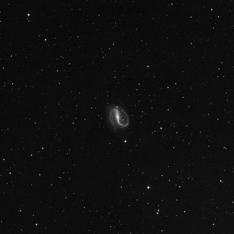 その他 #sky NGC 7479 - Barred Spiral Galaxy in Pegasus | TheSkyLive