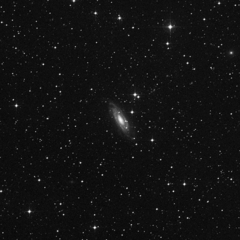 NGC 1964 - Intermediate Spiral Galaxy in Lepus | TheSkyLive