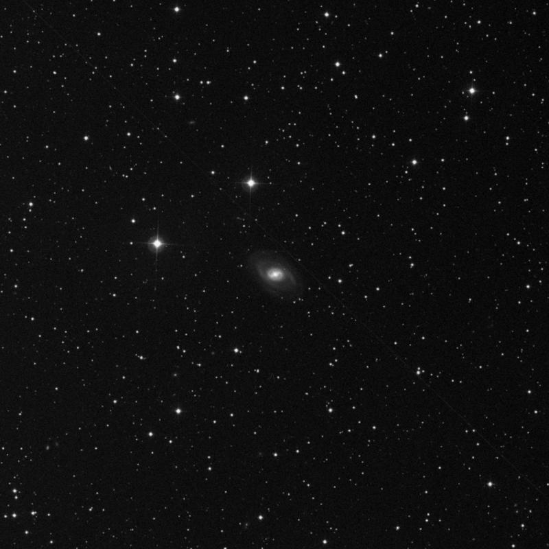 NGC 2273 - Spiral Galaxy in Lynx | TheSkyLive