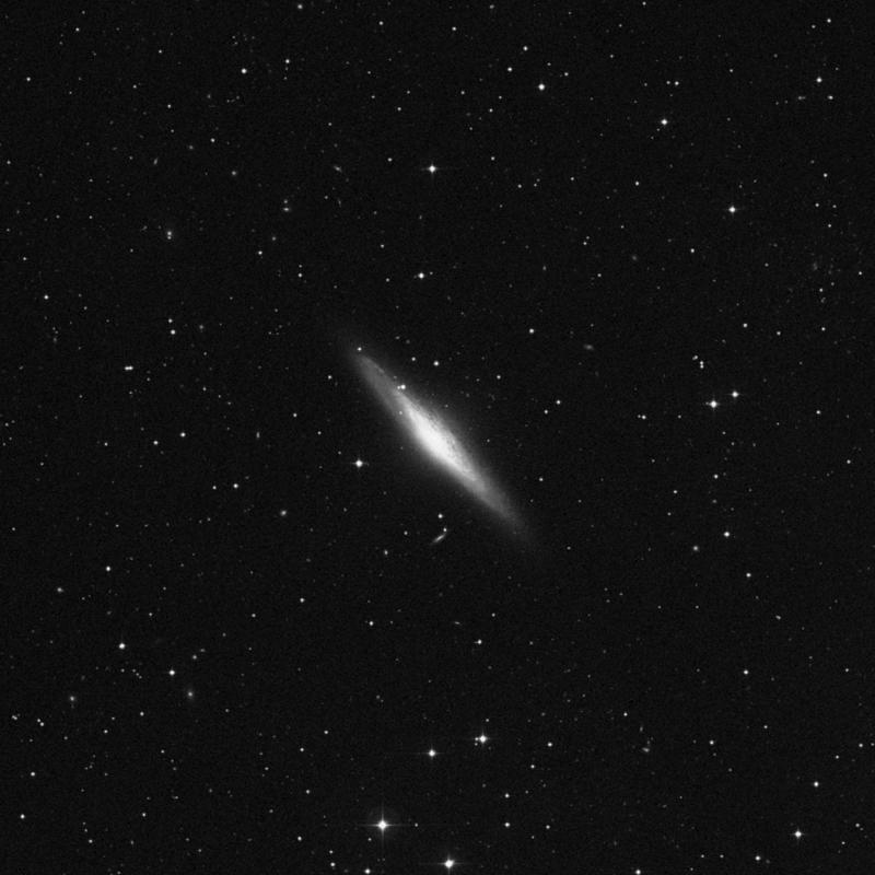 NGC 2683 - Spiral Galaxy in Lynx | TheSkyLive