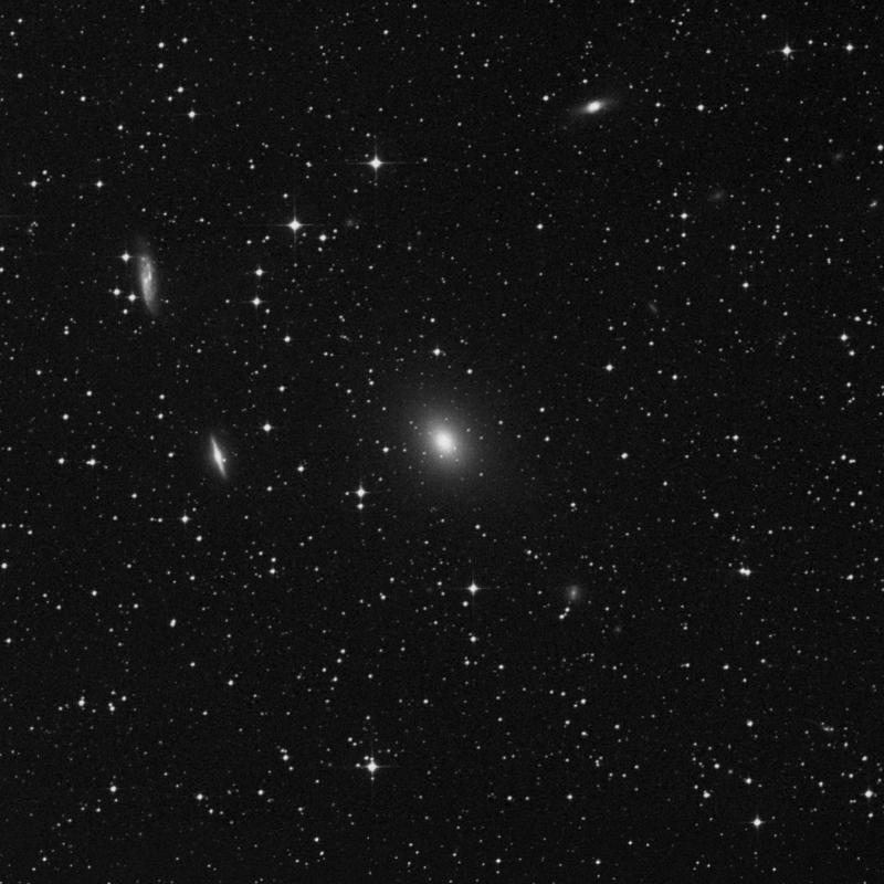 NGC 3557 - Elliptical Galaxy in Centaurus | TheSkyLive