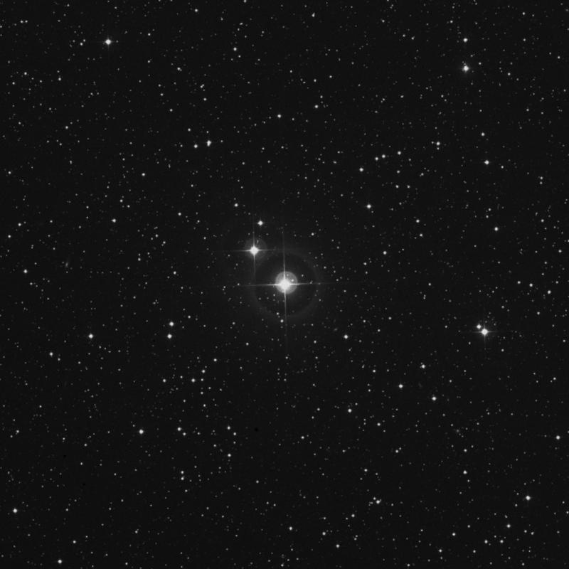 HR36 - Star in Andromeda | TheSkyLive