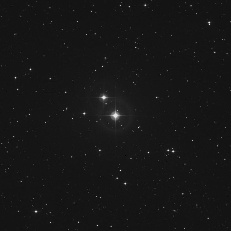 HR78 - Star in Andromeda | TheSkyLive