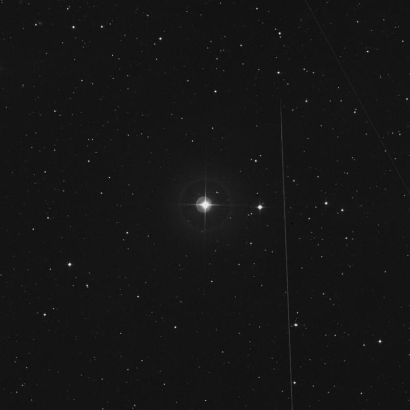 14 Tauri - Star in Taurus | TheSkyLive