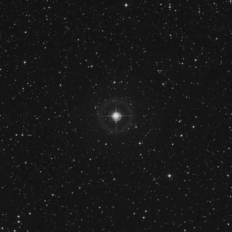 HR2169 - Star in Gemini | TheSkyLive