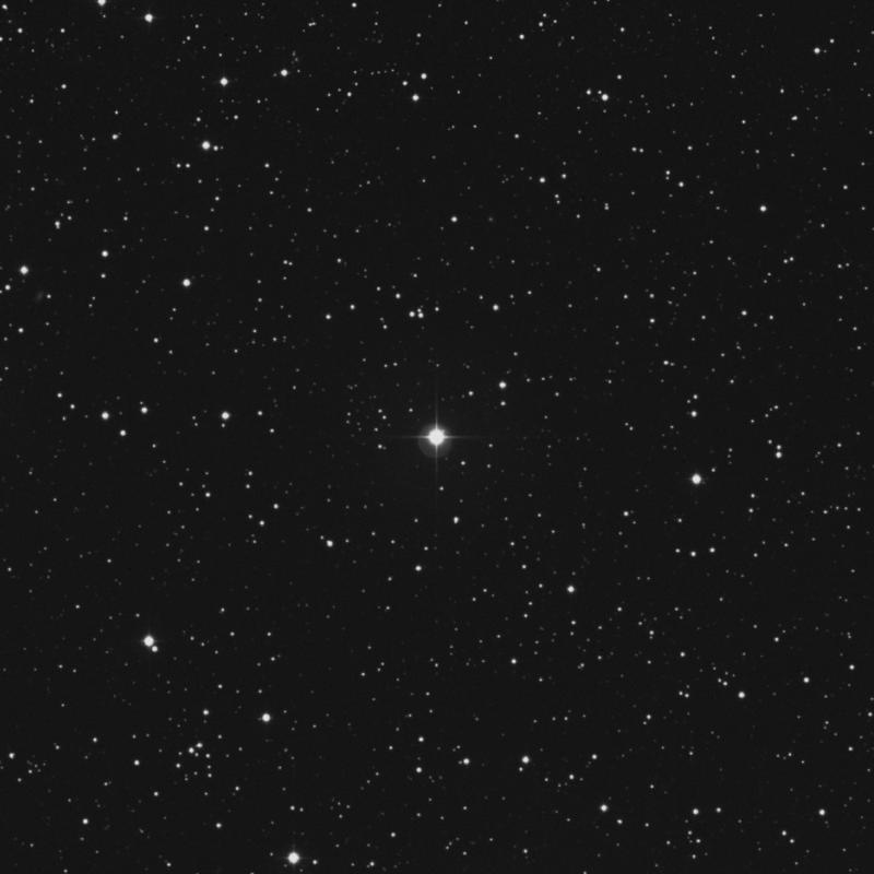 HR3103 - Star in Canis Minor | TheSkyLive