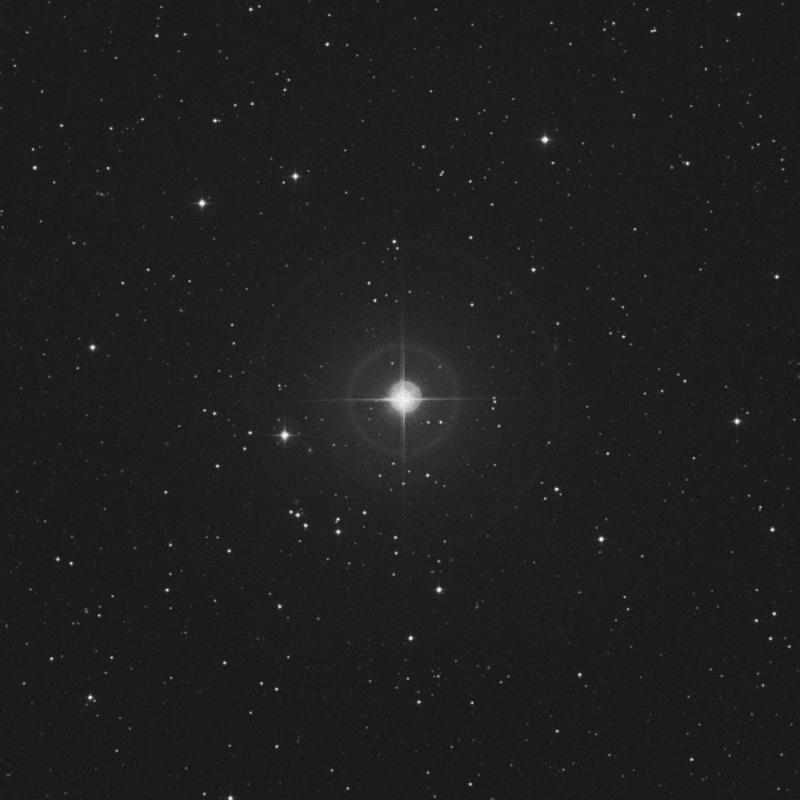 星 宇宙の「手」 X線と電波でとらえたパルサー星雲と超新星残骸