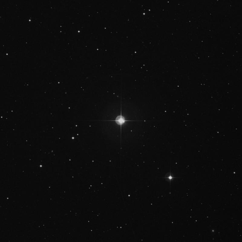 ASTRO Stargraphy 星 HR4358 - Star in Leo | TheSkyLive