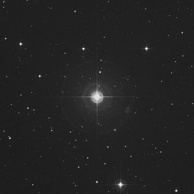 HR611 - Star in Cetus | TheSkyLive