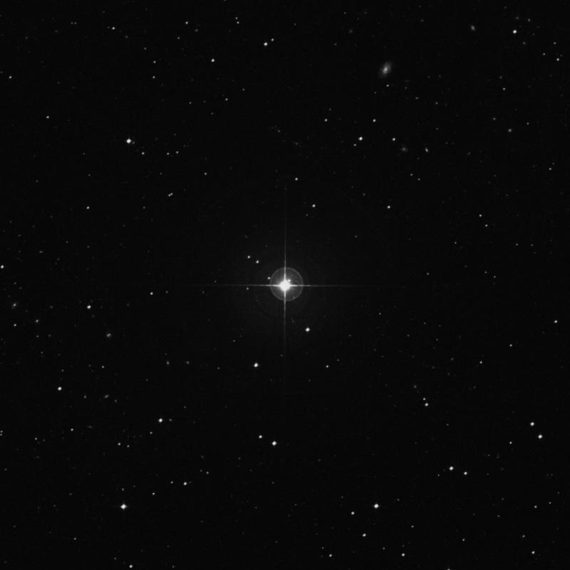 HR683 - Star in Fornax | TheSkyLive