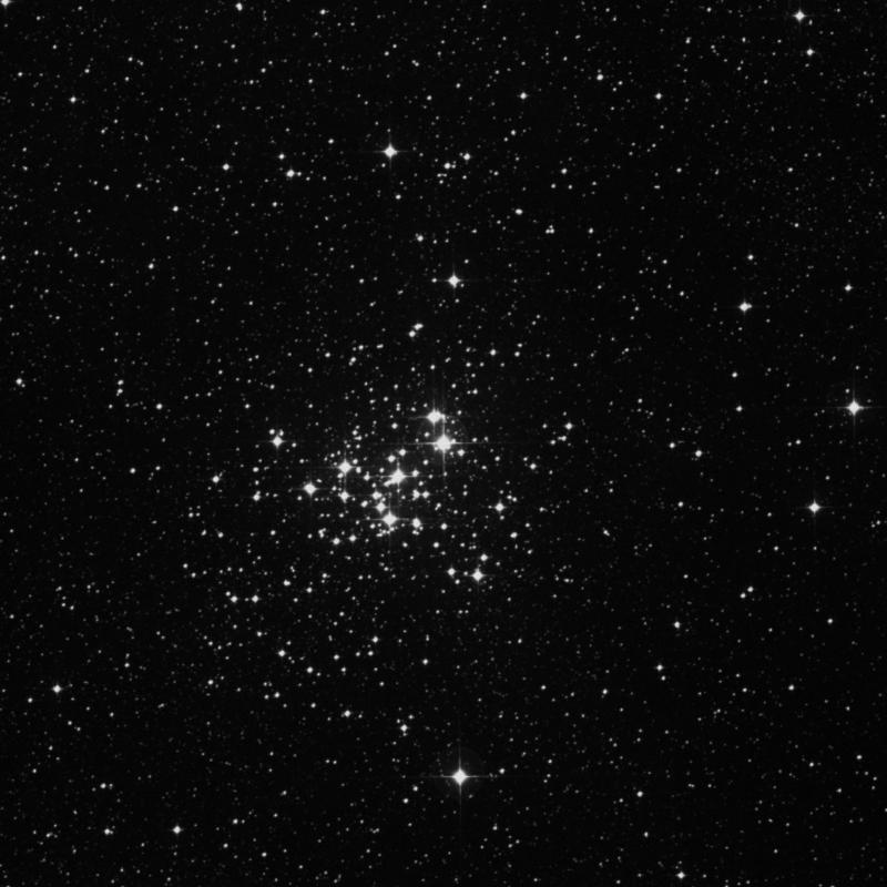ASTRO Stargraphy 星 HR6260 - Star in Scorpius | TheSkyLive