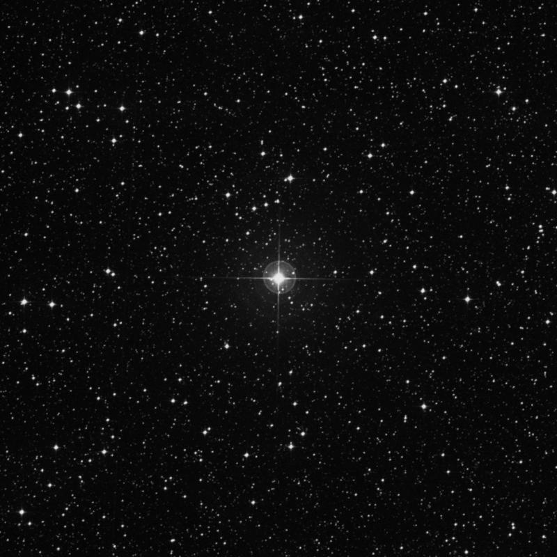 星 星導ショウ G2ライトショート | 株式会社金星