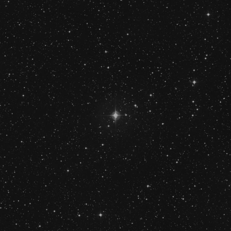 HR7843 - Star in Cygnus | TheSkyLive