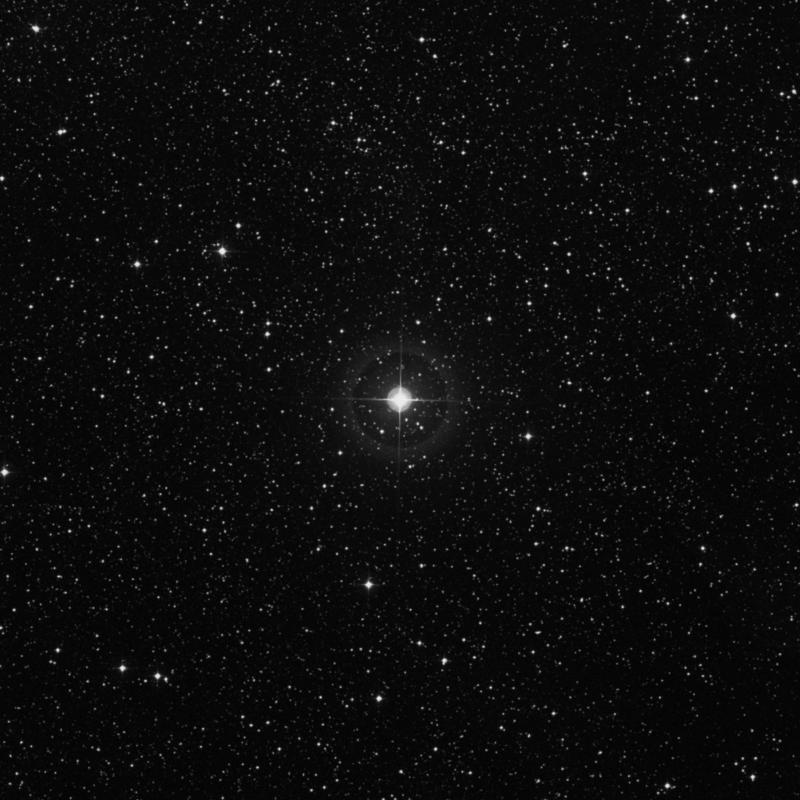 HR8026 - Star in Cygnus | TheSkyLive