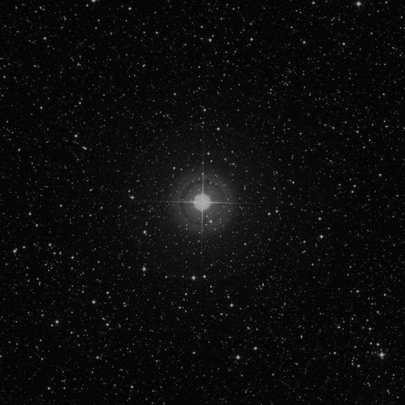 HR8726 - Star in Lacerta | TheSkyLive