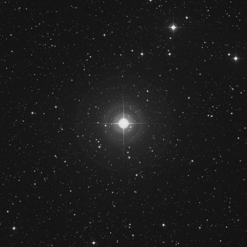 π Cephei (pi Cephei) - Star in Cepheus | TheSkyLive