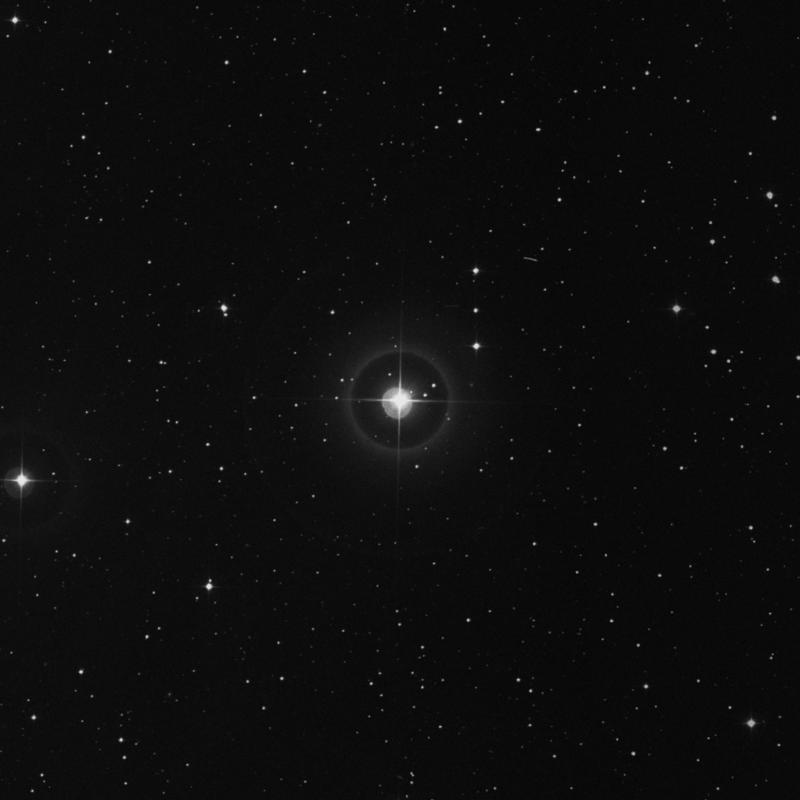 HR946 - Star in Aries | TheSkyLive